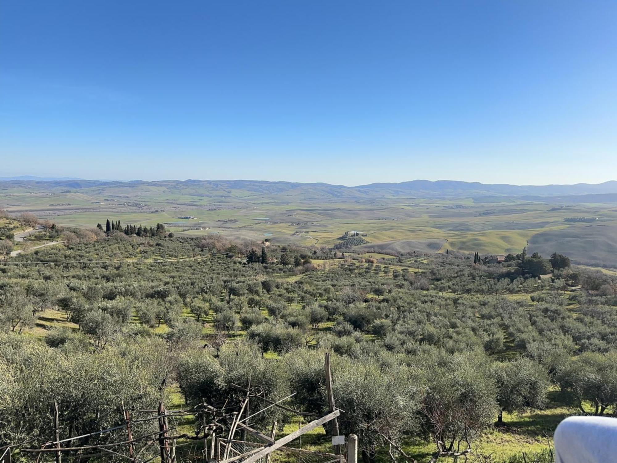 Lucky Garden Bed & Breakfast Bevagna Exterior foto